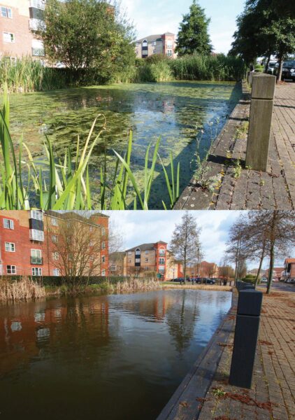 Before and after example of how Otterbine can clean water.